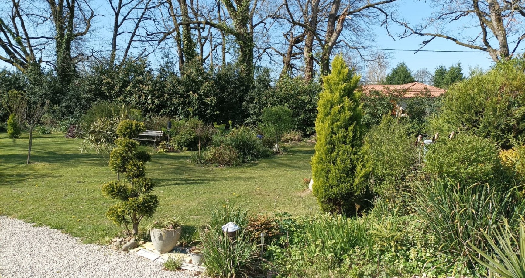 Jardin Fleur Nature